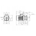 BOMBA CENTRIFUGA DE ASPIRACI&Oacute;N CM3-4 A-R-A-E-AVBE C-A-A-N GRUNDFOS