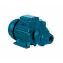 Bomba Perif&eacute;rica Ebara Modelo PRA/I 1,00 T 0,75 KW. 230/400 V.